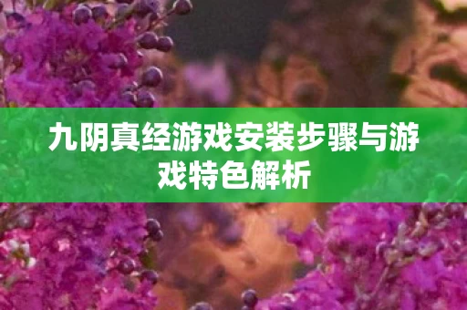 九阴真经游戏安装步骤与游戏特色解析图片