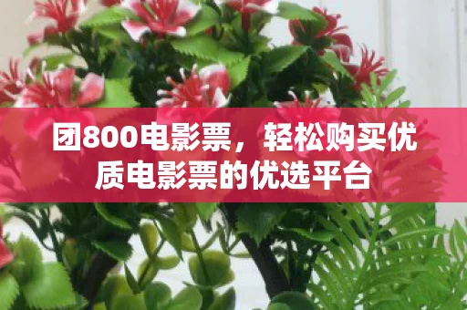 轻松购买优质电影票的优选平台图片