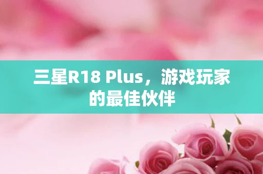 三星R18 Plus图片