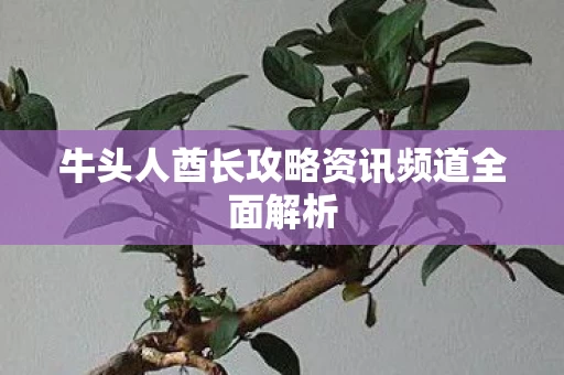 牛头人酋长攻略资讯频道全面解析图片