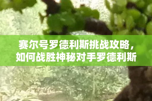 如何战胜神秘对手罗德利斯图片