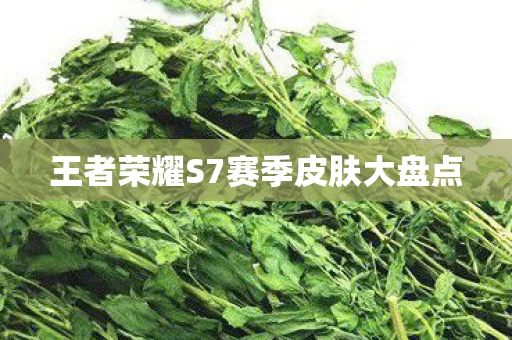 王者荣耀S7赛季皮肤大盘点图片