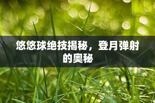 悠悠球绝技揭秘图片