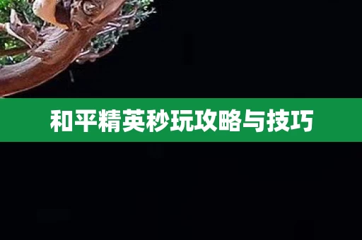和平精英秒玩攻略与技巧图片