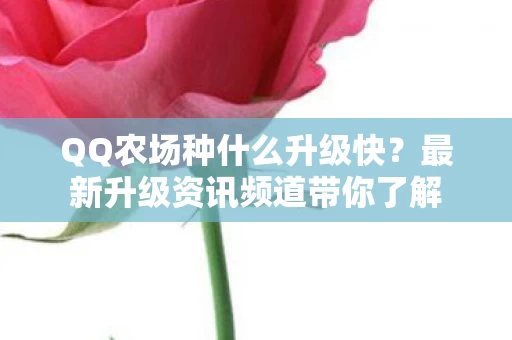 最新升级资讯频道带你了解图片