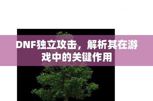 解析其在游戏中的关键作用图片