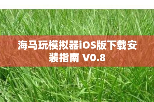 海马玩模拟器iOS版下载安装指南 V0图片