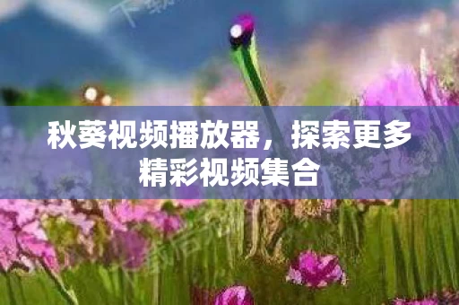 探索更多精彩视频集合图片