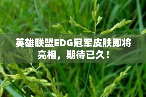 英雄联盟EDG冠军皮肤即将亮相图片