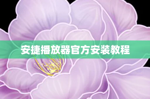 安捷播放器官方安装教程图片