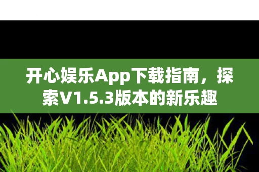 开心娱乐App下载指南图片
