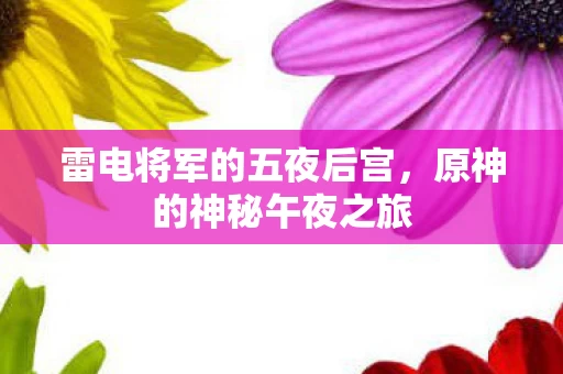 雷电将军的五夜后宫图片