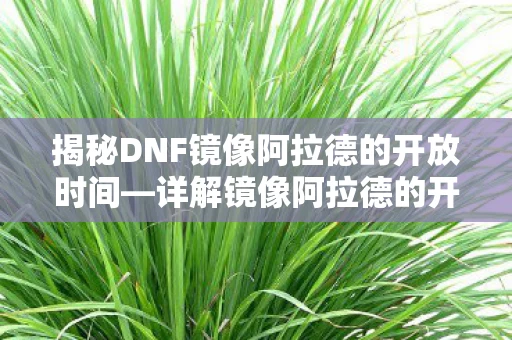 揭秘DNF镜像阿拉德的开放时间图片