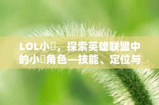 探索英雄联盟中的小訫角色图片