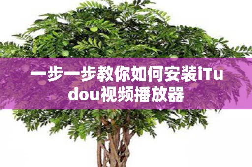 一步一步教你如何安装iTudou视频播放器图片