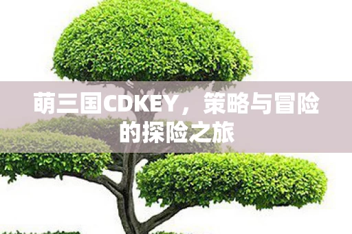 策略与冒险的探险之旅图片