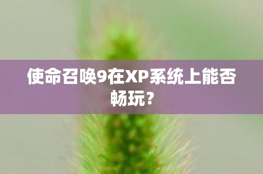 使命召唤9在XP系统上能否畅玩图片