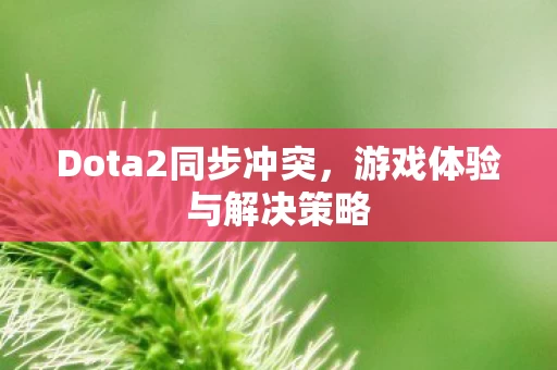 Dota2同步冲突图片