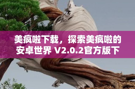 探索美疯啦的安卓世界 V2图片