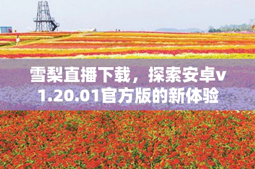 01官方版的新体验图片