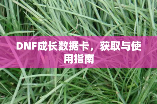DNF成长数据卡图片