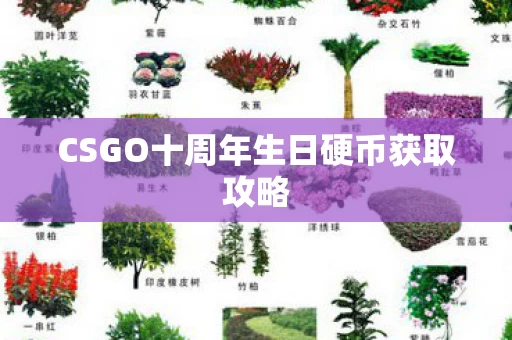 CSGO十周年生日硬币获取攻略图片