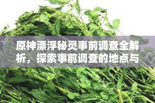 原神漂浮秘灵事前调查全解析图片