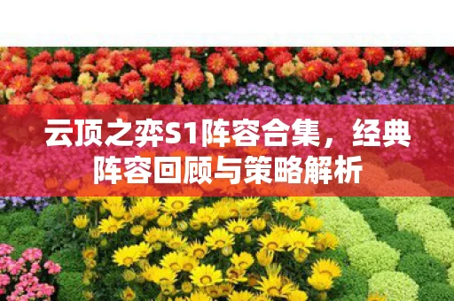 经典阵容回顾与策略解析图片