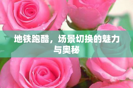 场景切换的魅力与奥秘图片