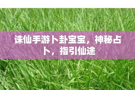 诛仙手游卜卦宝宝图片