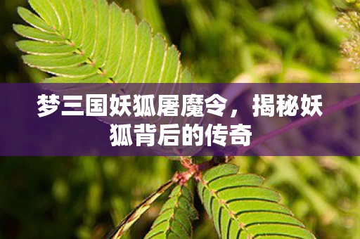揭秘妖狐背后的传奇图片