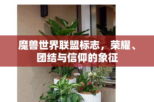 魔兽世界联盟标志图片