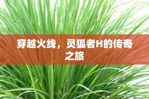 灵狐者H的传奇之旅图片