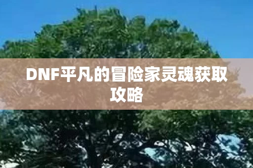 DNF平凡的冒险家灵魂获取攻略图片
