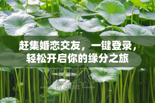 轻松开启你的缘分之旅图片