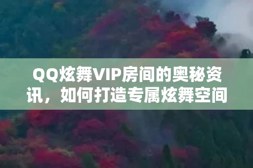 QQ炫舞VIP房间的奥秘资讯图片