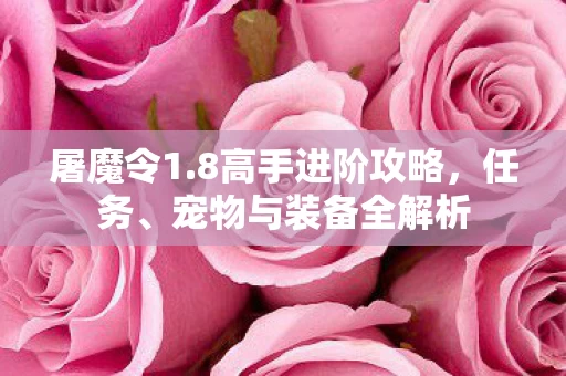 宠物与装备全解析图片