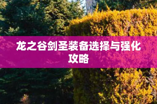 龙之谷剑圣装备选择与强化攻略图片