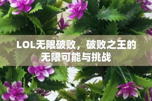 破败之王的无限可能与挑战图片