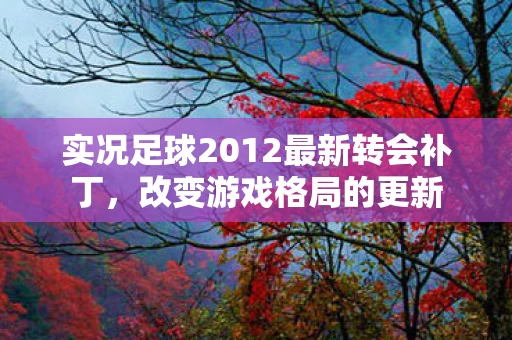 实况足球2012最新转会补丁图片