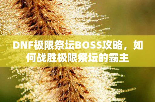 DNF极限祭坛BOSS攻略图片