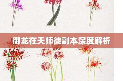御龙在天师徒副本深度解析图片