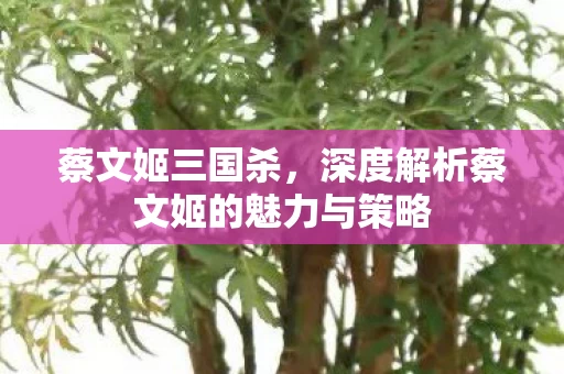 深度解析蔡文姬的魅力与策略图片