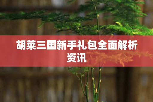 胡莱三国新手礼包全面解析资讯图片