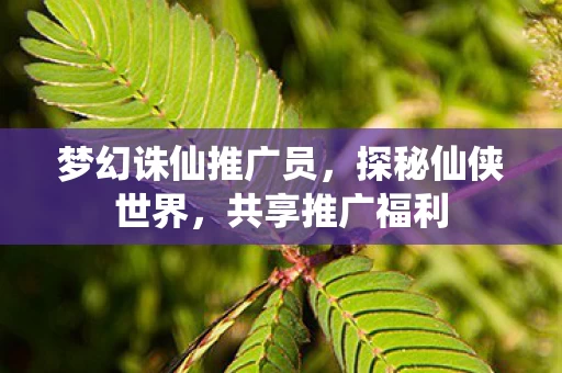 梦幻诛仙推广员图片