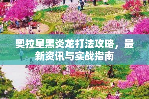 奥拉星黑炎龙打法攻略图片