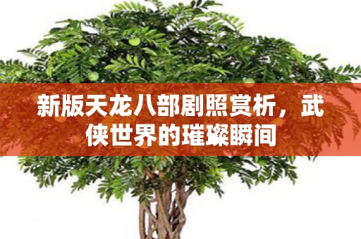 新版天龙八部剧照赏析图片
