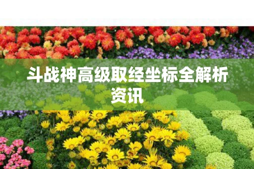 斗战神高级取经坐标全解析资讯图片
