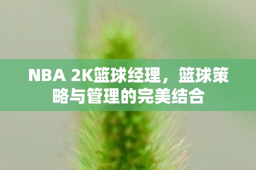 篮球策略与管理的完美结合图片