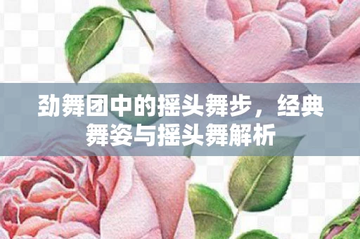 经典舞姿与摇头舞解析图片